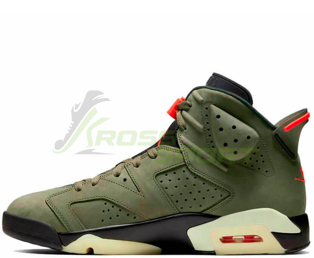 Cactus 2024 jordan 6